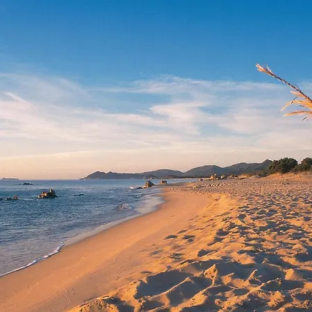 Secca 3 * 哥斯达雷