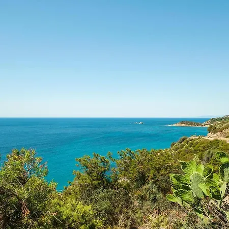 Secca 3 哥斯达雷